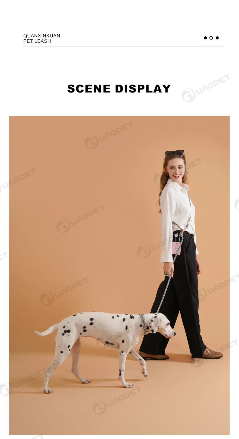 Laisse Multifonction Mains Libres pour Chien – Corde de Marche 10-en-1 pour Chiens Petits, Moyens et Grands, Idéale pour la Course et la Marche en Extérieur