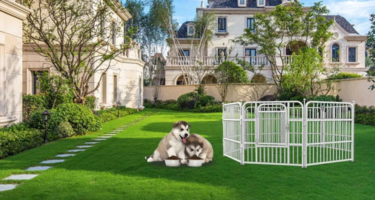 Parc de Jeu Extérieur pour Animaux – Enclos Portable pour Chiens et Chiots – Clôture Pliable de Jardin ou Camping – Idéal pour Petits Chiens comme le Caniche (Teddy)