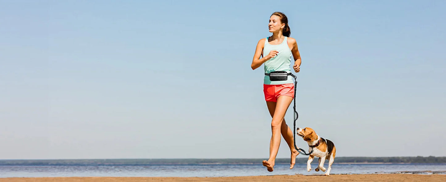 Laisse Mains Libres avec Poche de Rangement – Laisse Double Rétractable pour Deux Chiens avec Amortisseur Élastique et Doubles Poignées Rembourrées, Compatible avec Harnais