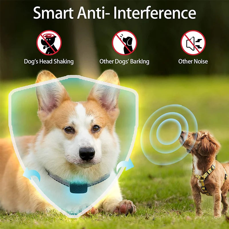 Collier Anti-Aboiement pour Chien – Dispositif Intelligent à Ultrasons avec Vibration, Rechargeable par USB, Étanche et Efficace pour le Dressage