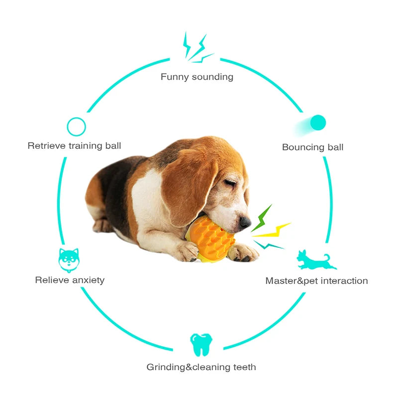 Balle à Mâcher Sonore pour Chien – Jouet Interactif d’Extérieur pour Petits, Moyens et Grands Chiens – Nettoyage des Dents, Anti-Stress – Idéal Chihuahua, Yorkie et Autres Races