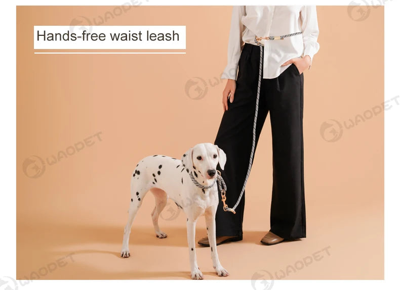Laisse Multifonction Mains Libres pour Chien – Corde de Marche 10-en-1 pour Chiens Petits, Moyens et Grands, Idéale pour la Course et la Marche en Extérieur