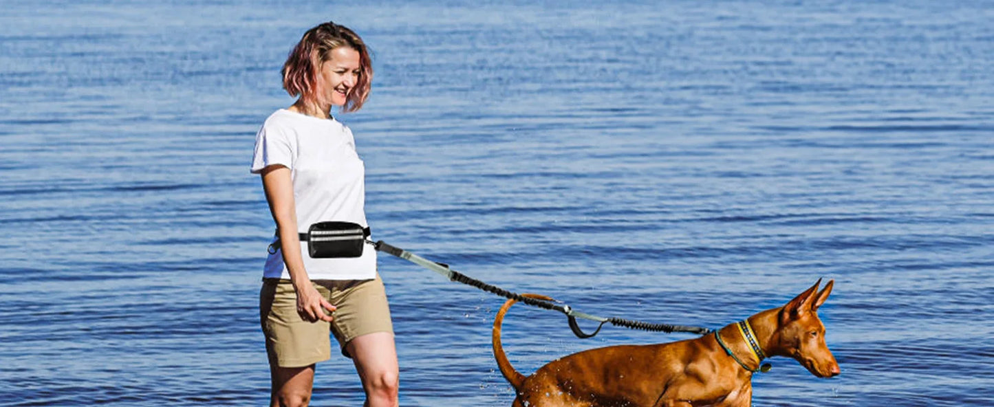 Laisse Mains Libres avec Poche de Rangement – Laisse Double Rétractable pour Deux Chiens avec Amortisseur Élastique et Doubles Poignées Rembourrées, Compatible avec Harnais