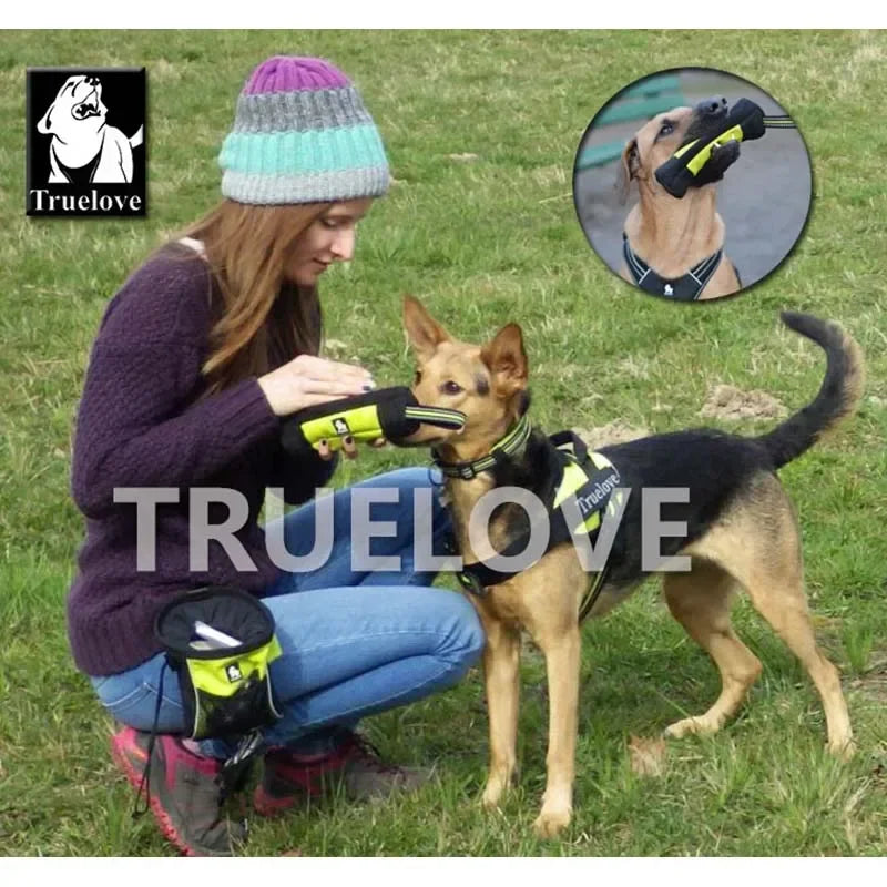 Pochette à Friandises Truelove pour Chien – Sac d’Entraînement Réfléchissant avec Distributeur de Sacs à Déjections, Poche à Jouets et Friandises