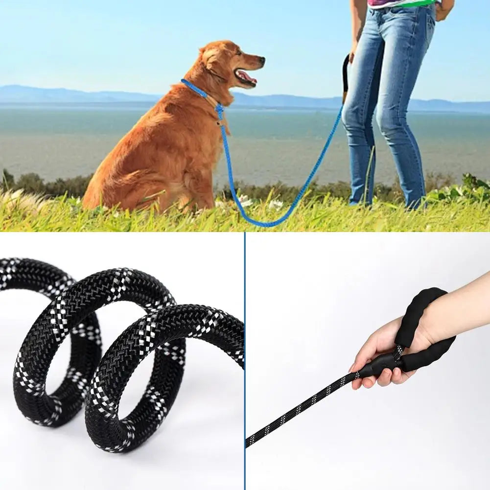Laisse Réfléchissante Double pour Chiens – Laisse Anti-Morsure avec Poignée Rembourrée pour la Marche de Deux à Quatre Chiens