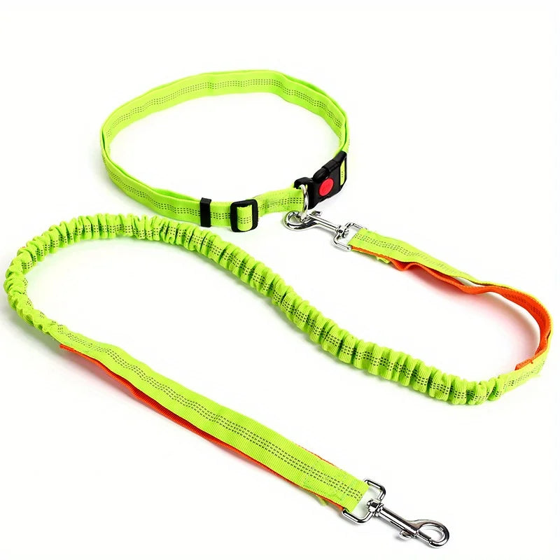 Laisse Élastique pour Chien Mains Libres – Laisse Rétractable en Nylon pour la Course et la Marche, Accessoire Pratique pour Chien