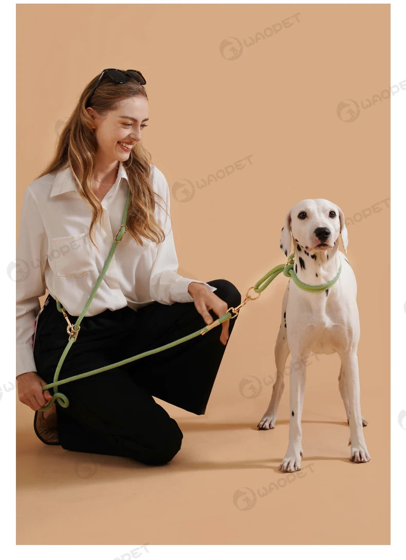 Laisse Multifonction Mains Libres pour Chien – Corde de Marche 10-en-1 pour Chiens Petits, Moyens et Grands, Idéale pour la Course et la Marche en Extérieur