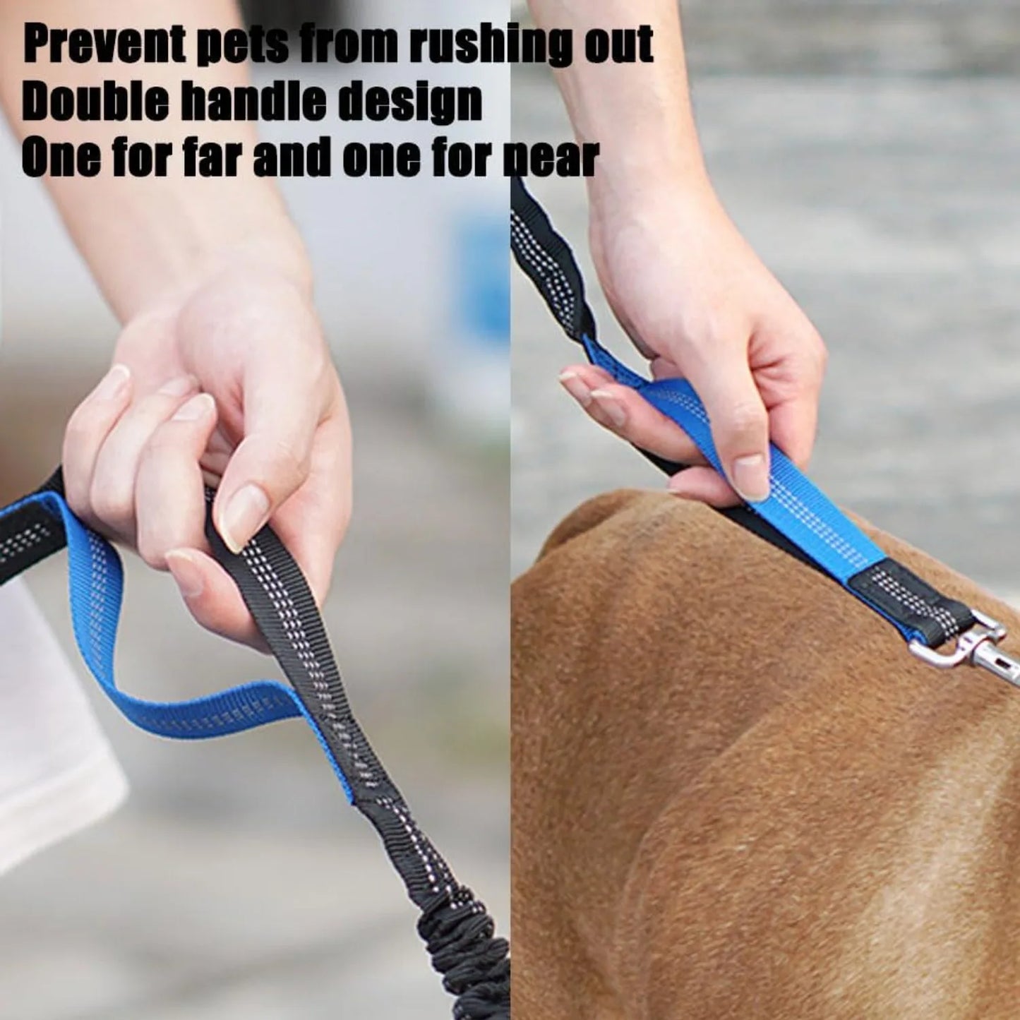 Laisse pour Chien Mains Libres 1,65 m avec Pochette à Fermeture Éclair – Laisse de Taille avec Double Poignée Rembourrée pour la Marche