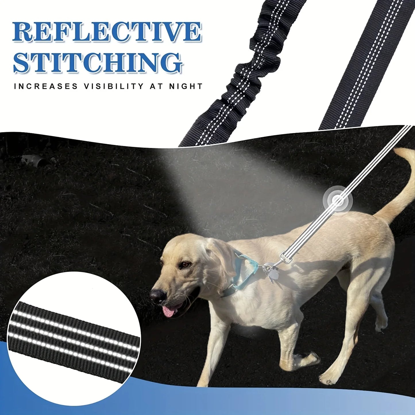 Laisse Double pour Chien – Coupleur Anti-Enchevêtrement avec Amortisseur de Chocs et Sangle Réfléchissante pour Sécurité Nocturne