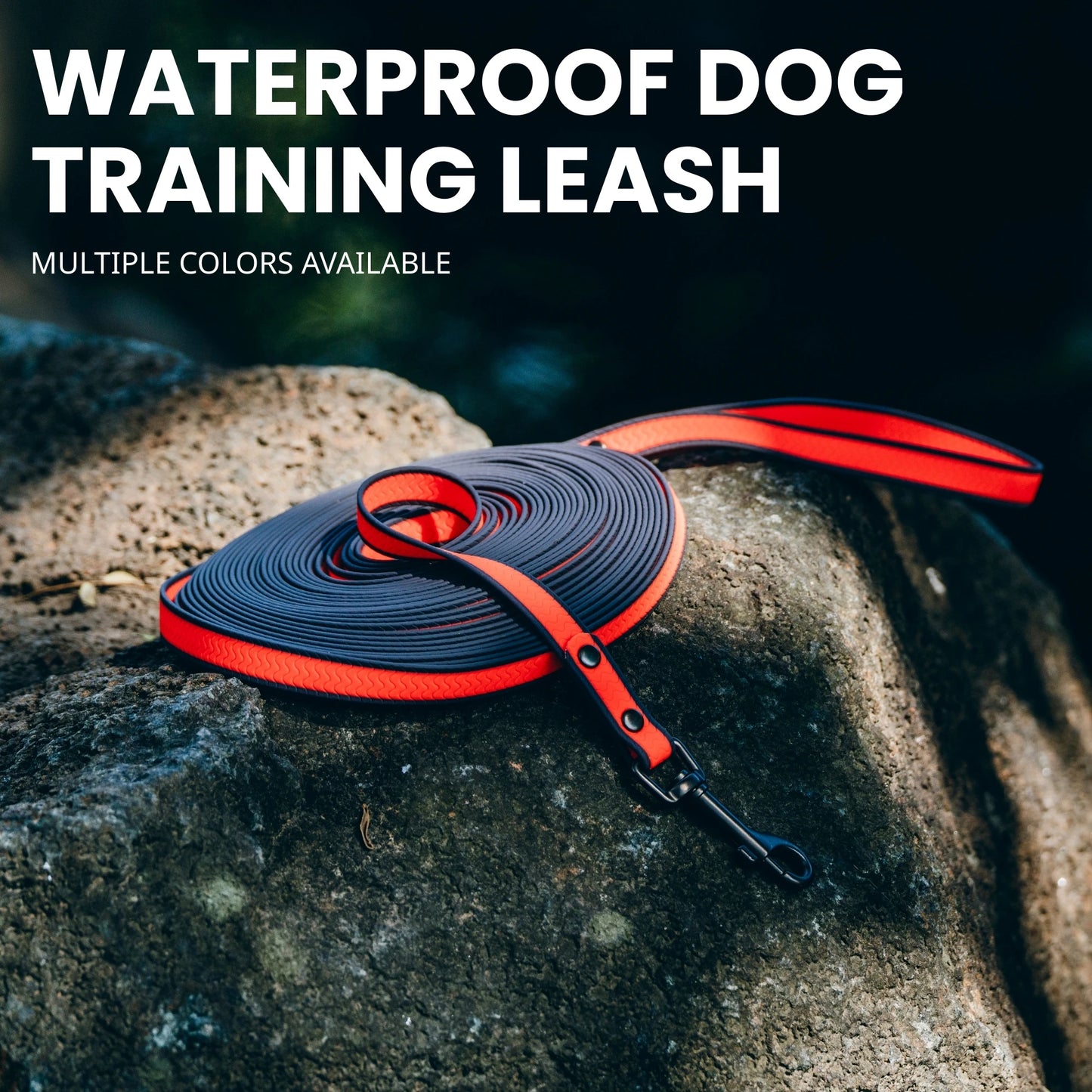 Laisse Longue pour Chien – Laisse en Corde Ultra-Robuste avec Mousqueton Pivotant Verrouillable, Idéale pour le Dressage et la Marche de Chiens Moyens à Grands