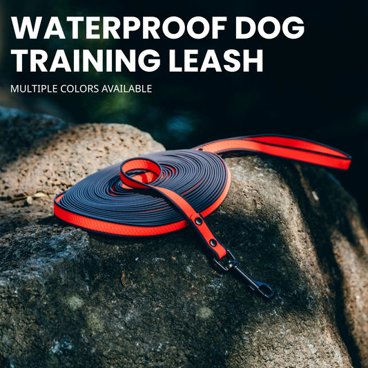Laisse Longue pour Chien – Laisse en Corde Ultra-Robuste avec Mousqueton Pivotant Verrouillable, Idéale pour le Dressage et la Marche de Chiens Moyens à Grands