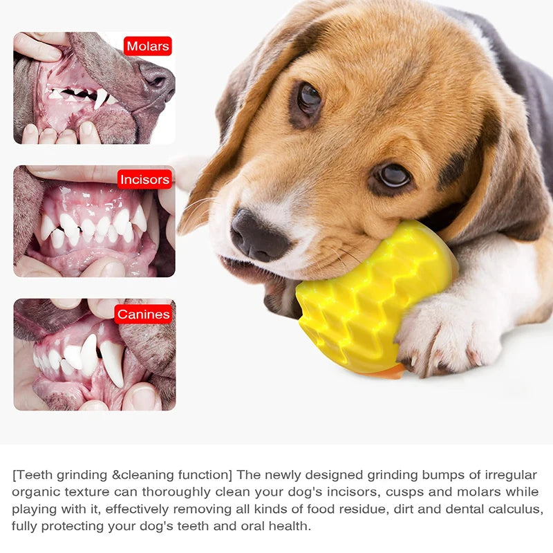 Balle à Mâcher Sonore pour Chien – Jouet Interactif d’Extérieur pour Petits, Moyens et Grands Chiens – Nettoyage des Dents, Anti-Stress – Idéal Chihuahua, Yorkie et Autres Races