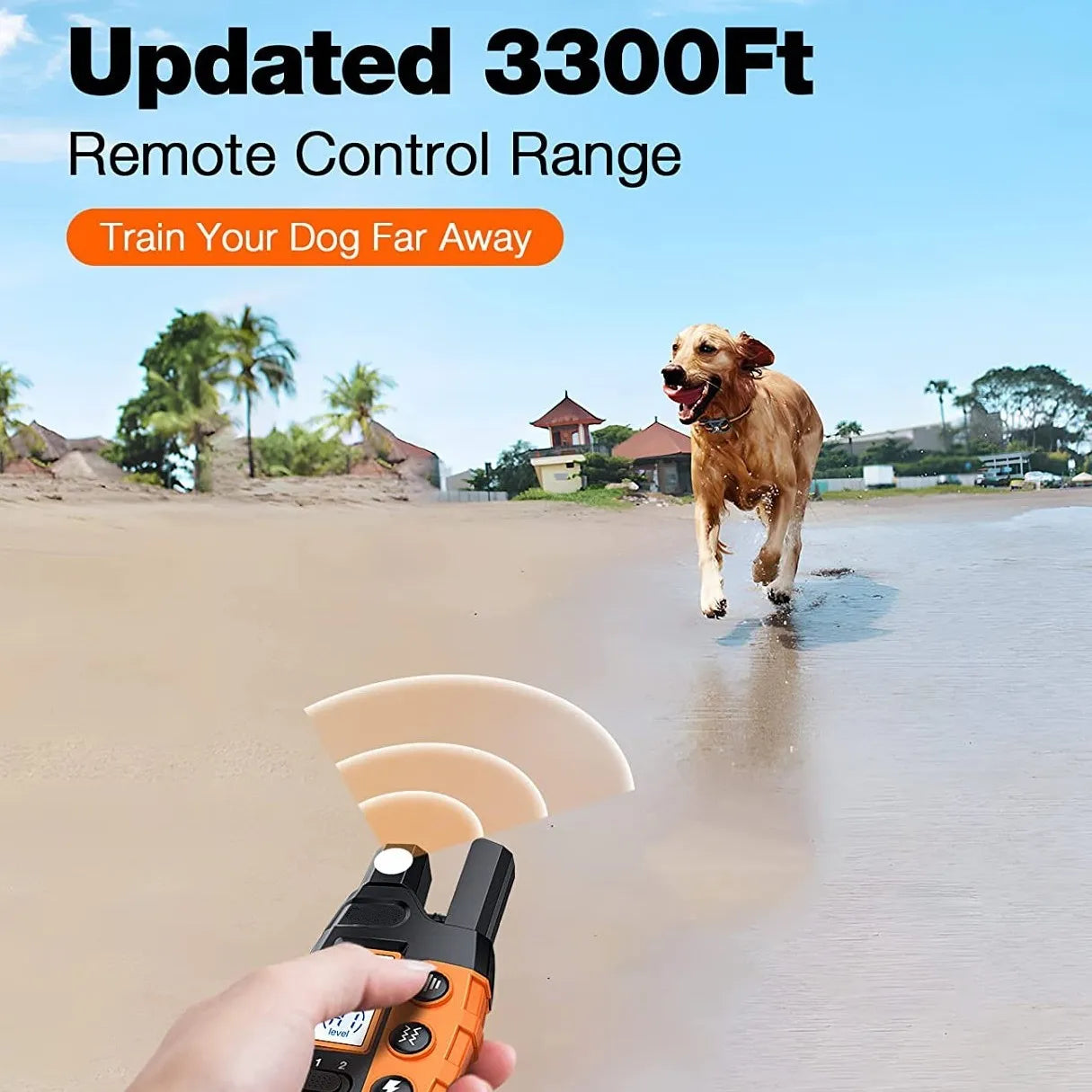 Collier de Dressage pour Chien avec Télécommande – 1000 m, Étanche IP67, Rechargeable, Multi-Mode (Pour 1 ou 2 Chiens)