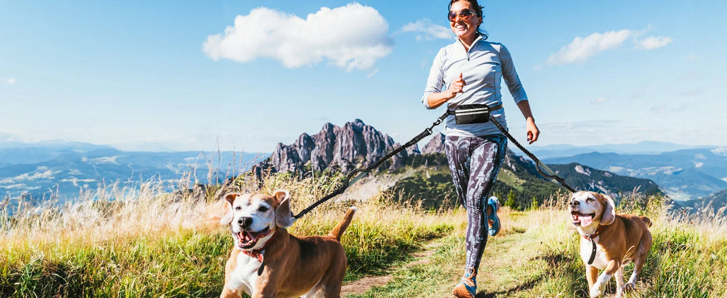 Laisse Mains Libres avec Poche de Rangement – Laisse Double Rétractable pour Deux Chiens avec Amortisseur Élastique et Doubles Poignées Rembourrées, Compatible avec Harnais