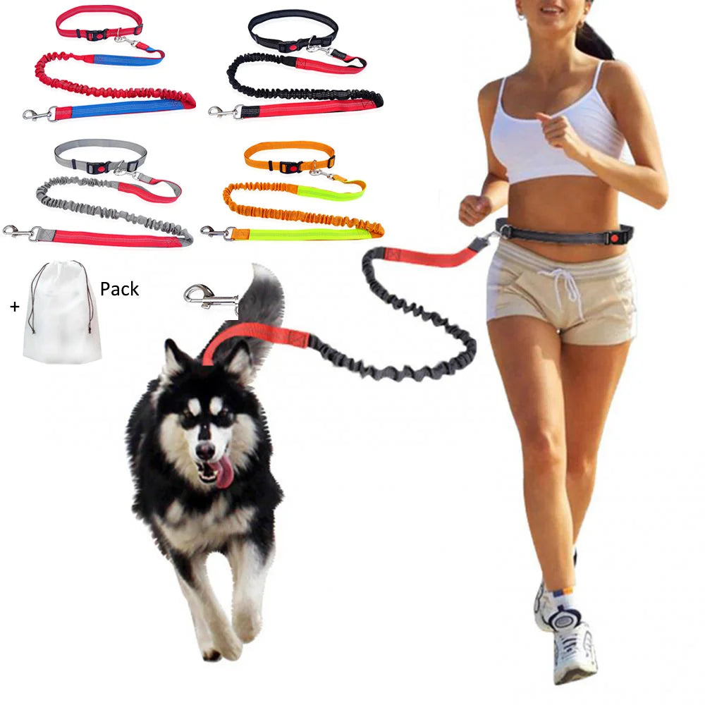 Laisse Élastique pour Chien Mains Libres – Laisse Rétractable en Nylon pour la Course et la Marche, Accessoire Pratique pour Chien