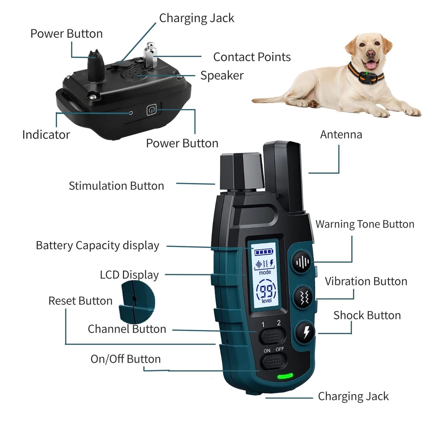 Collier de Dressage pour Chien avec Télécommande – 1000 m, Étanche IP67, Rechargeable, Multi-Mode (Pour 1 ou 2 Chiens)