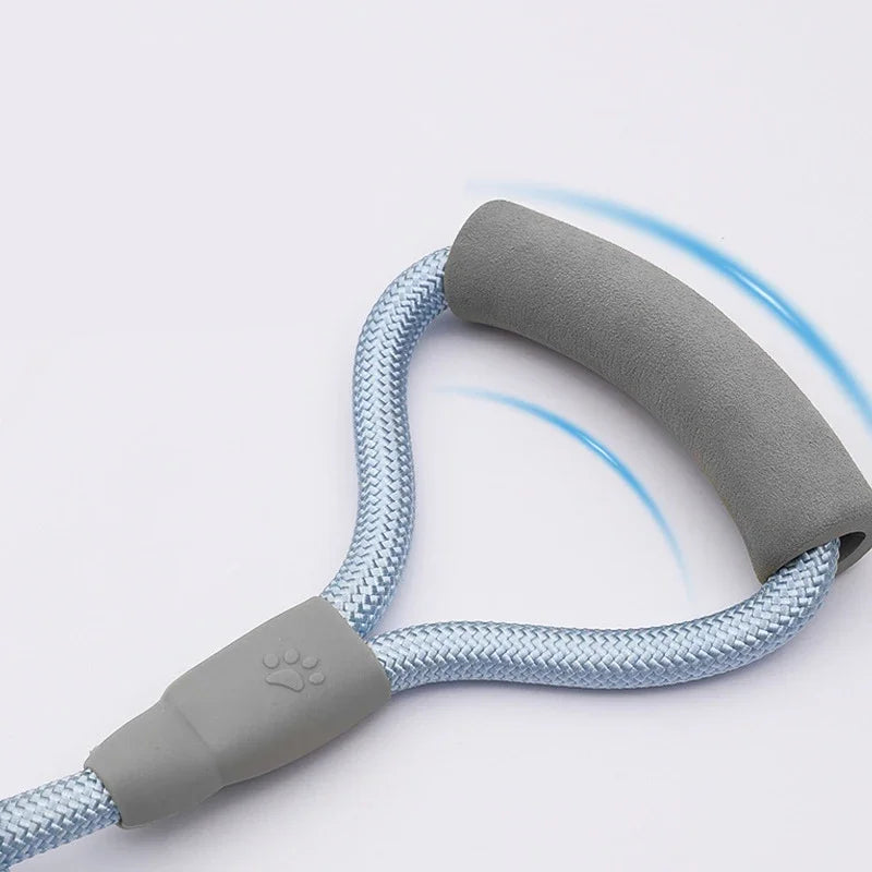 Laisse Double pour Chien – Laisse Moyenne avec Chaîne Double, Système Une Laisse pour Deux Chiens, Accessoire Pratique pour la Marche
