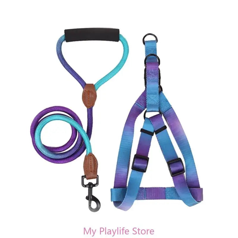 Ensemble Harnais et Laisse de Dressage pour Chien – Harnais de Poitrine avec Libération Rapide, Facile à Contrôler, Idéal pour la Marche et l’Entraînement