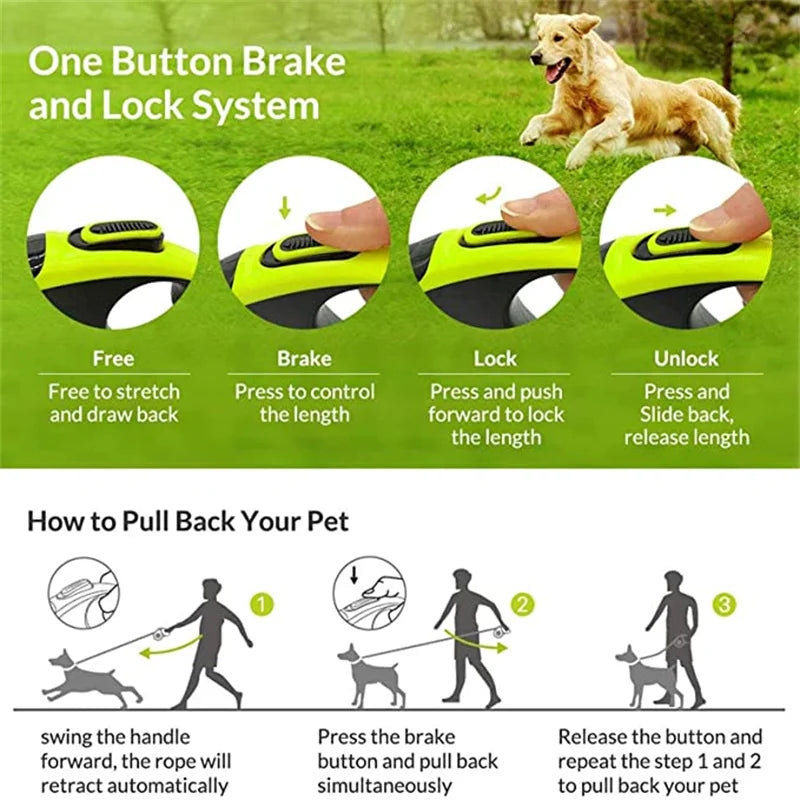 Laisse Rétractable de Luxe 5M pour Chien – Laisse Automatique Extensible pour Chiens de Grande, Moyenne et Petite Taille, Chats et Chiots
