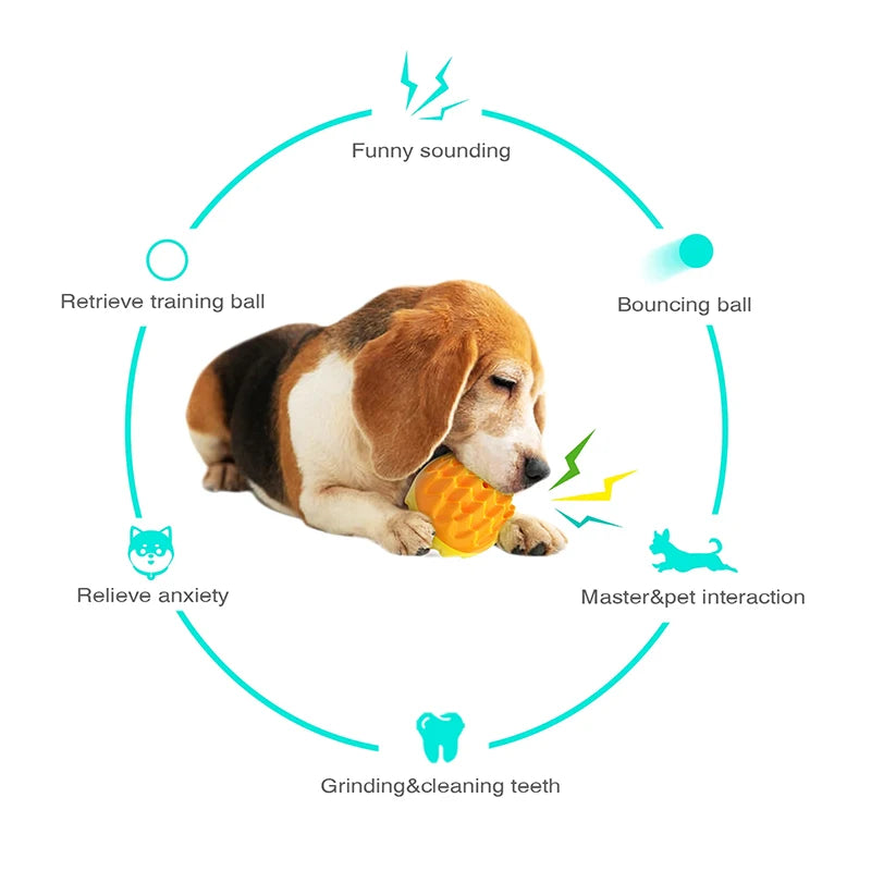Balle à Mâcher Sonore pour Chien – Jouet Interactif d’Extérieur pour Petits, Moyens et Grands Chiens – Nettoyage des Dents, Anti-Stress – Idéal Chihuahua, Yorkie et Autres Races