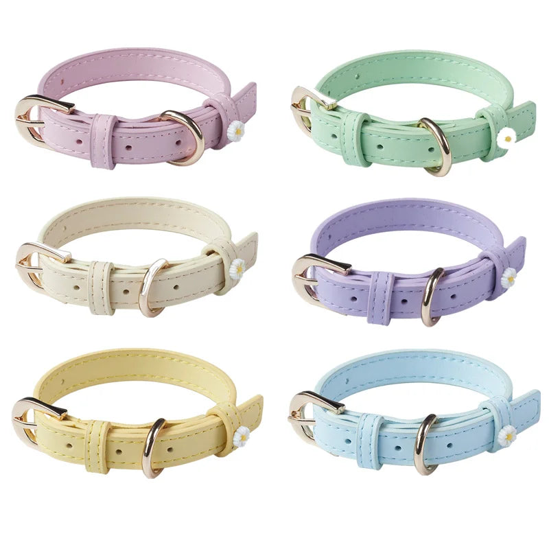 Collier pour Chat & Petit Chien en Simili Cuir – Décor Marguerite, Boucle en Alliage & Anneau Traction