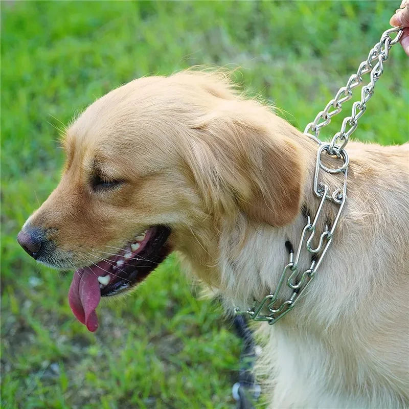 Collier de Dressage Anti-Traction à Pointes – Acier Inoxydable avec Embouts en Caoutchouc, Taille Ajustable
