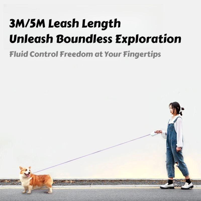 Laisse Rétractable pour Chien avec Éclairage LED – Système de Verrouillage à Une Touche, Anti-Enchevêtrement, Poignée Confortable et Sécurité Nocturne Mains Libres