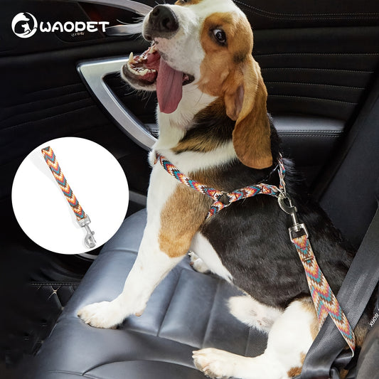 Laisse de Sécurité Colorée pour Voiture – Accessoire de Voyage Durable avec Mousqueton Métal