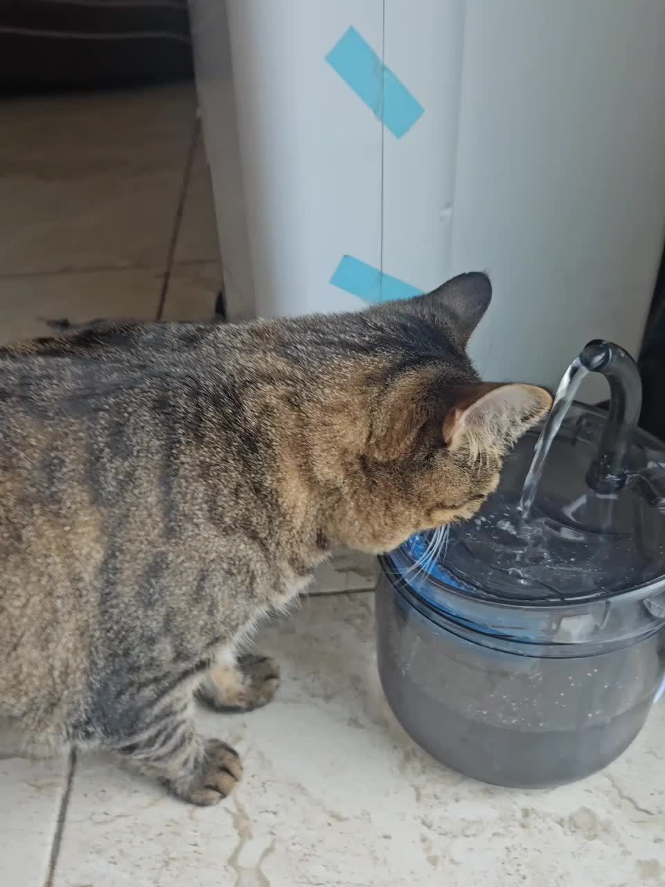 Fontaine à Eau Intelligente pour Chats & Chiens – 1,8 L avec Robinet, Filtration & Réservoir Transparent