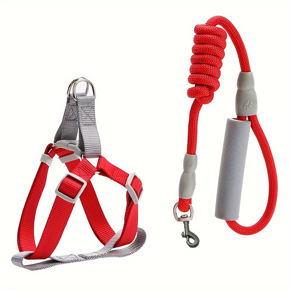 Ensemble Harnais et Laisse en Corde Style Macaron – Pour Petits et Moyens Chiens