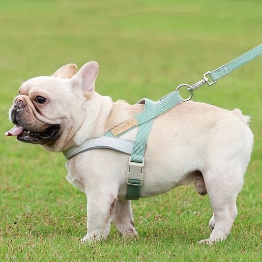Ensemble Harnais et Laisse Ultra-Confort pour Petits et Moyens Chiens – Pour des Promenades Sécurisées et Agréables