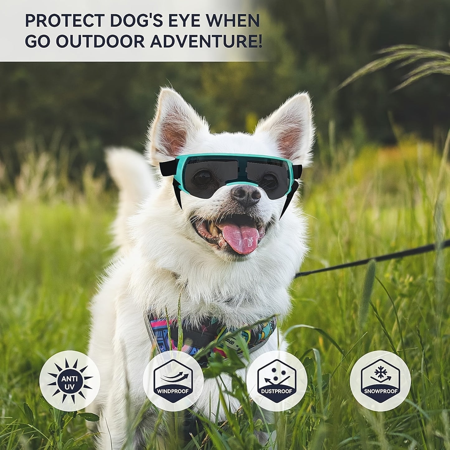 Lunettes de Soleil Demi-Monture pour Chien – Style, Protection & Fun pour Chiens de Toutes Tailles