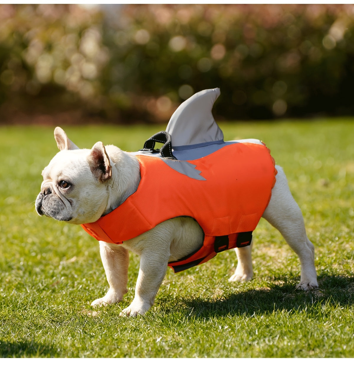 Gilet de Sauvetage Requin Réfléchissant pour Chien – Harnais de Flottaison Sécurisé avec Poignée & Sangles Réglables