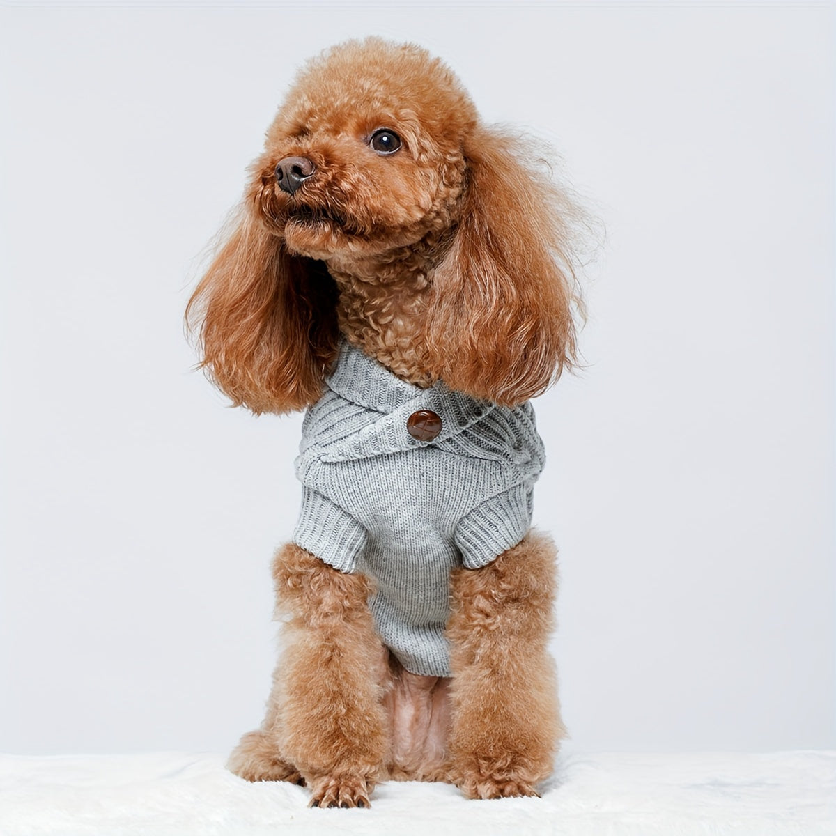 Pull Doux pour Chien & Chat – Tenue Confortable pour Petits et Moyens Animaux en Hiver