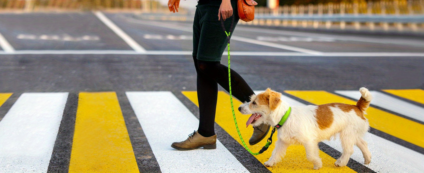 Laisse Réfléchissante JOYTALE pour Chien – Poignée Rembourrée Ultra-Confortable