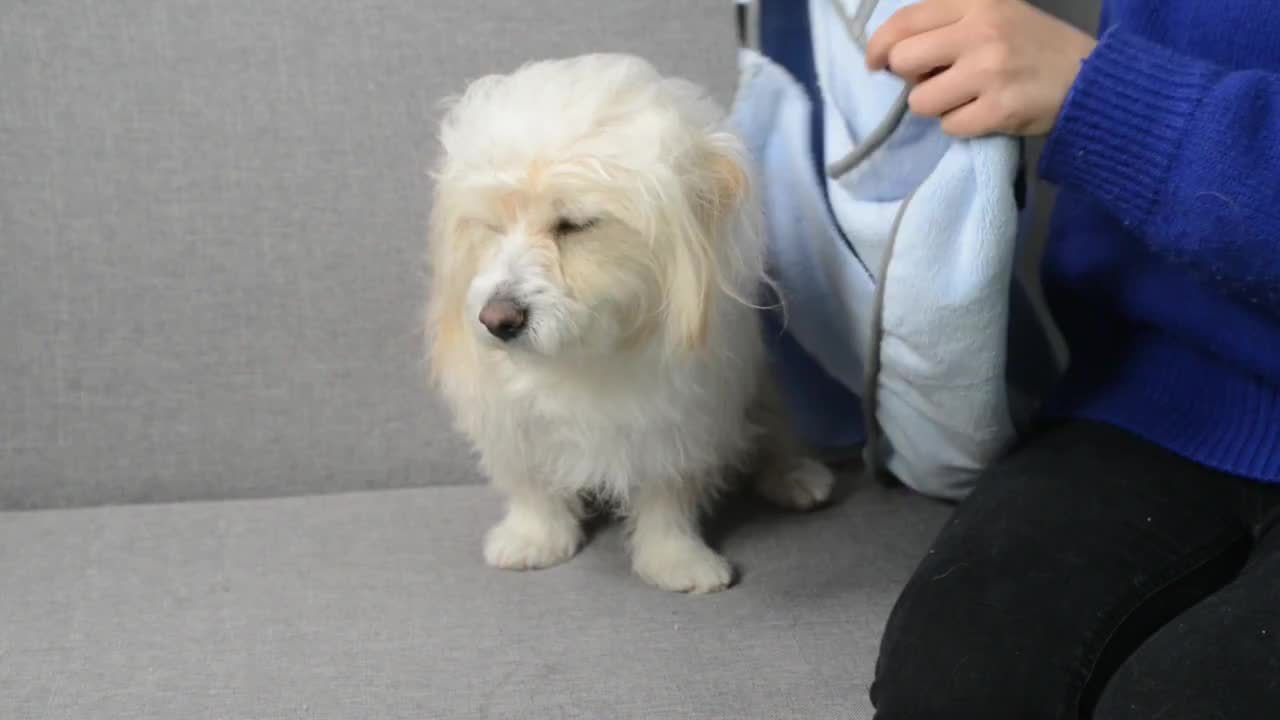 Serviette de Bain Ultra-Absorbante pour Chien & Chat – Effet Rafraîchissant, Nettoyage & Séchage Rapide