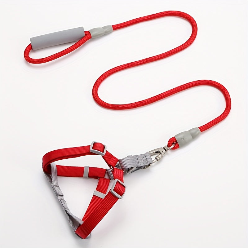 Ensemble Harnais et Laisse en Corde Style Macaron – Pour Petits et Moyens Chiens